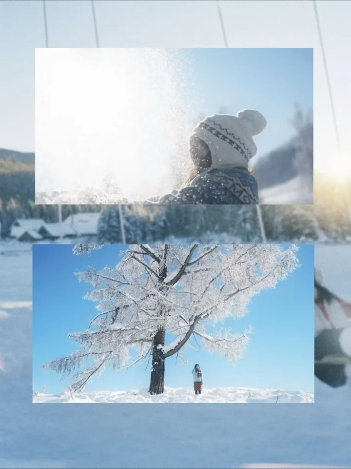 冬日拼贴组图：戴针织帽的人物与蓝天下覆雪的树